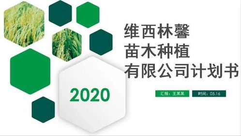 团州委携北京智库与农投会，点燃农业创业“云引擎”——农业产品领域线上路演暨培训侧记